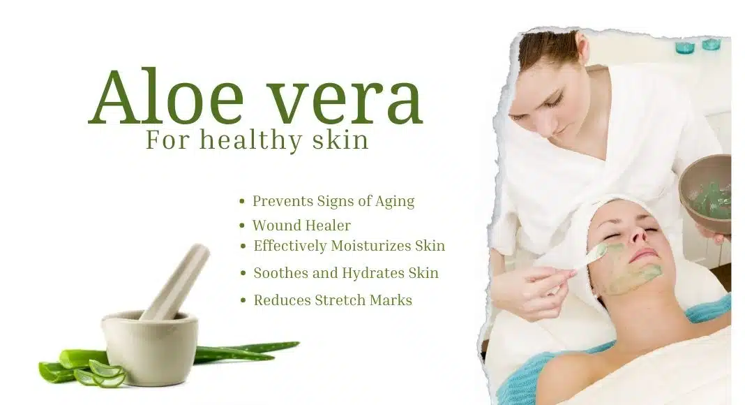 Aloe vera for healthy skin