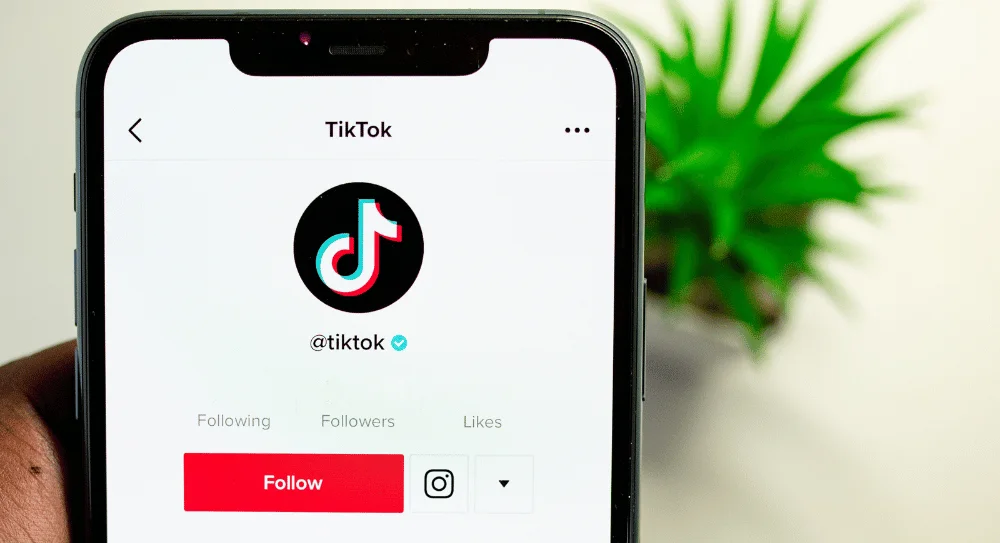 Brand Identity on TikTok