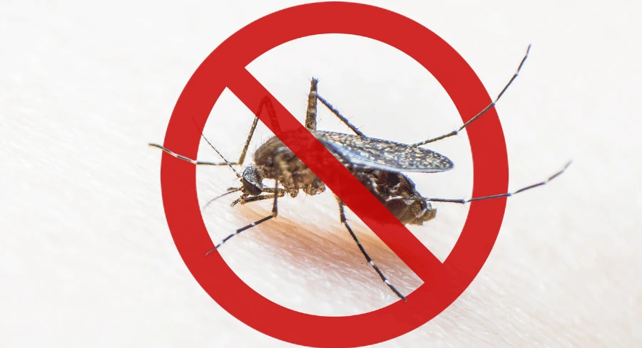 How to Control Dengue