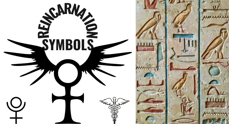 Reincarnation Symbols