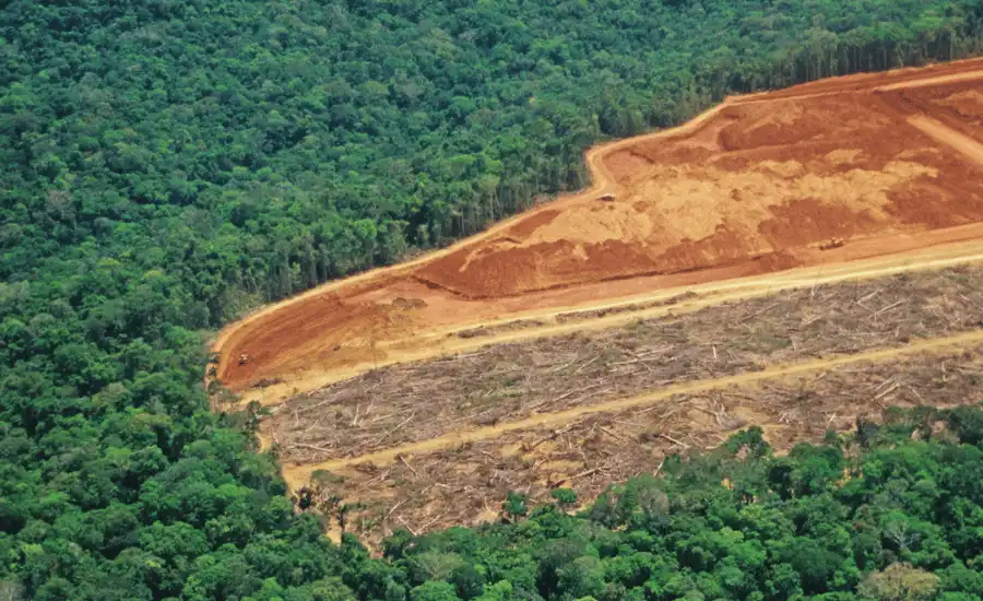 brazil deforestation