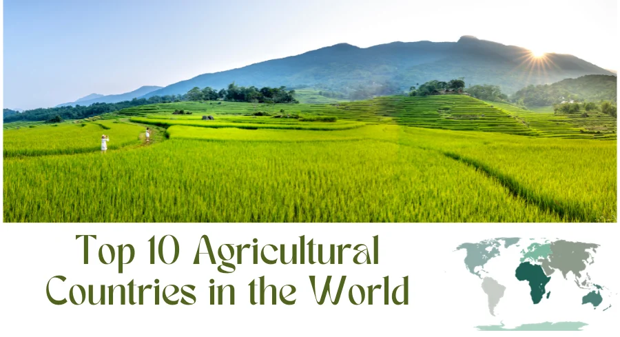 Top 10 Agricultural Countries in the World