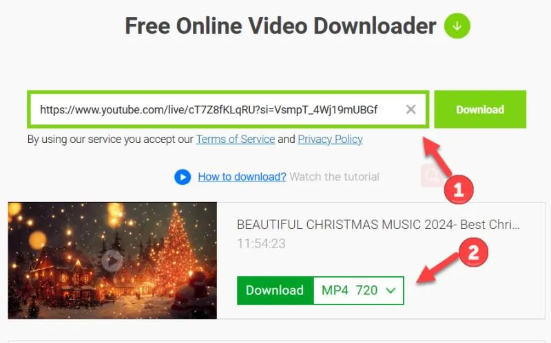 free online video downloader