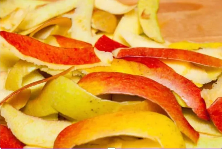 Peels in Your Diet