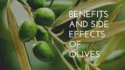 Benefits and Side Effects of Olives