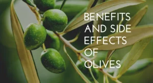 Benefits and Side Effects of Olives