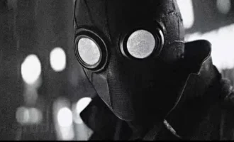 Spider-Man Noir, nicolas cage spider-man noir, spider-man noir comic, sentinel spider-man noir, spider-man noir into the spider-verse