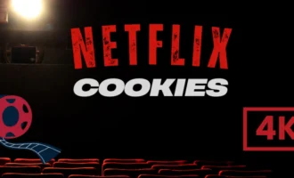 Netflix Premium Cookies