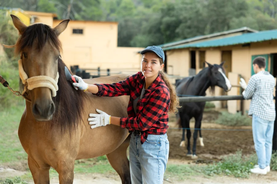 Fractional horse ownership